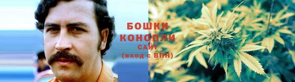 мдпв Богданович