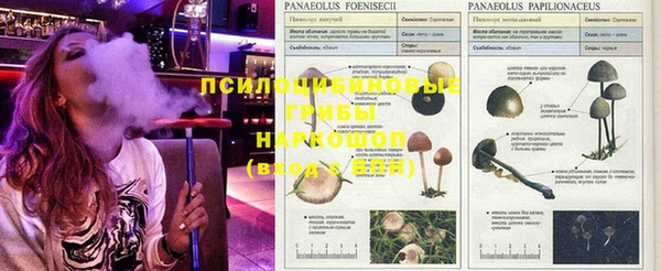 мяу мяу мука Беломорск