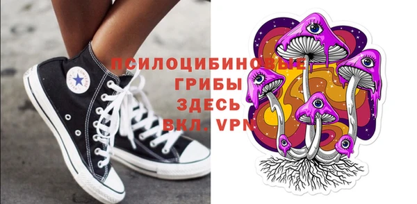 мдпв Богданович