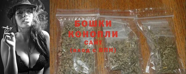 дурь Богородск