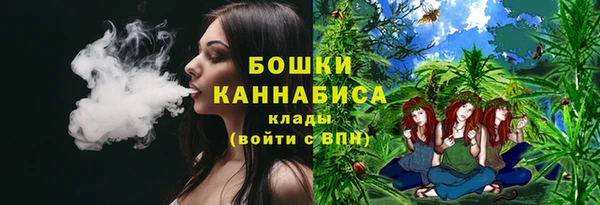 дурь Богородск