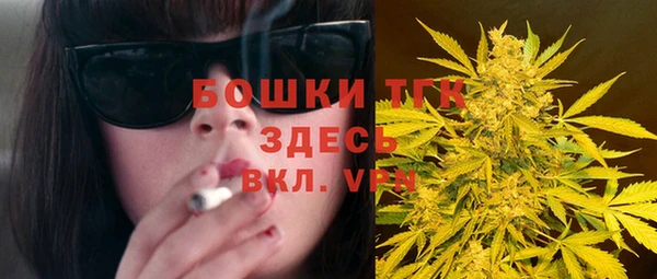 мдпв Богданович